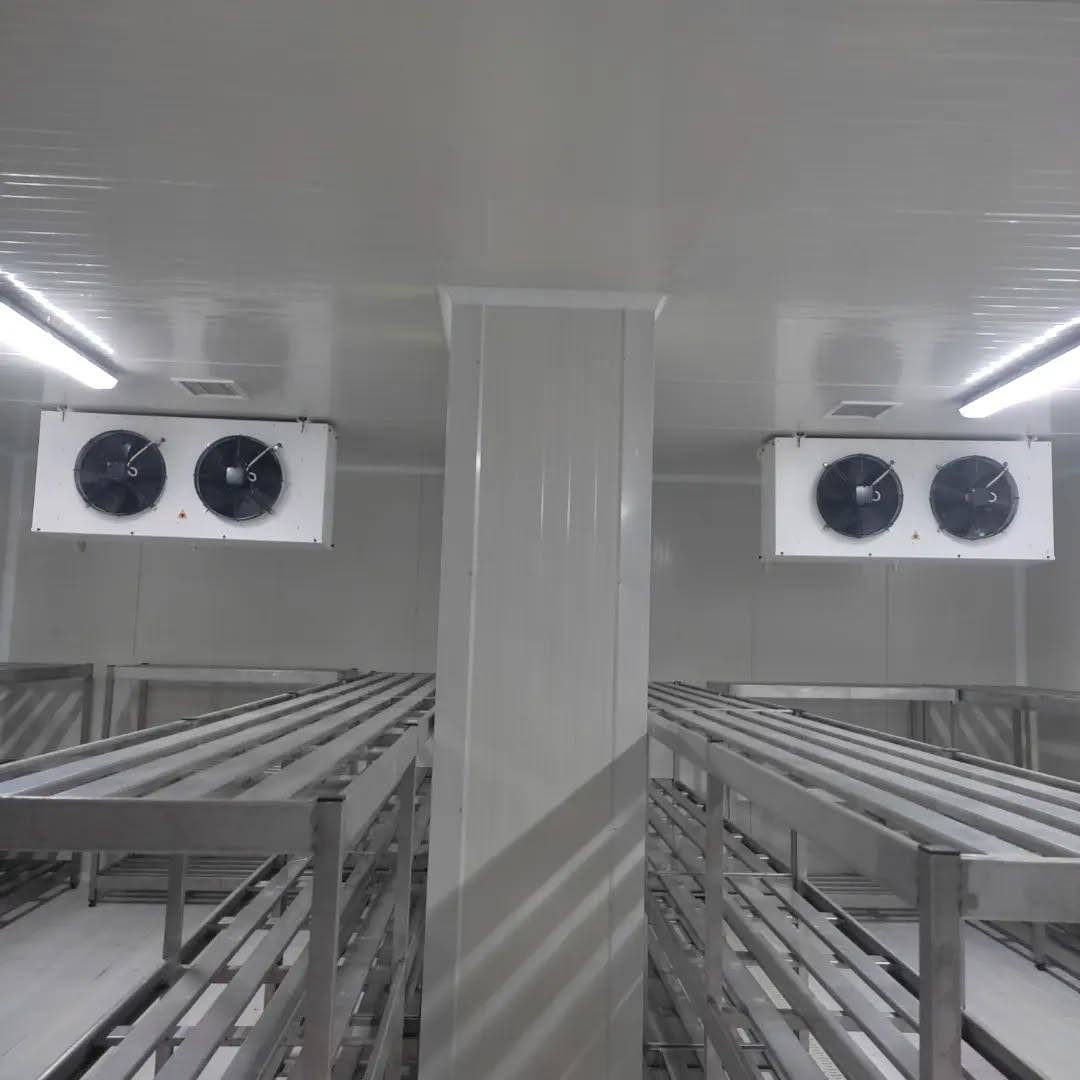 Cold Storage Facilities