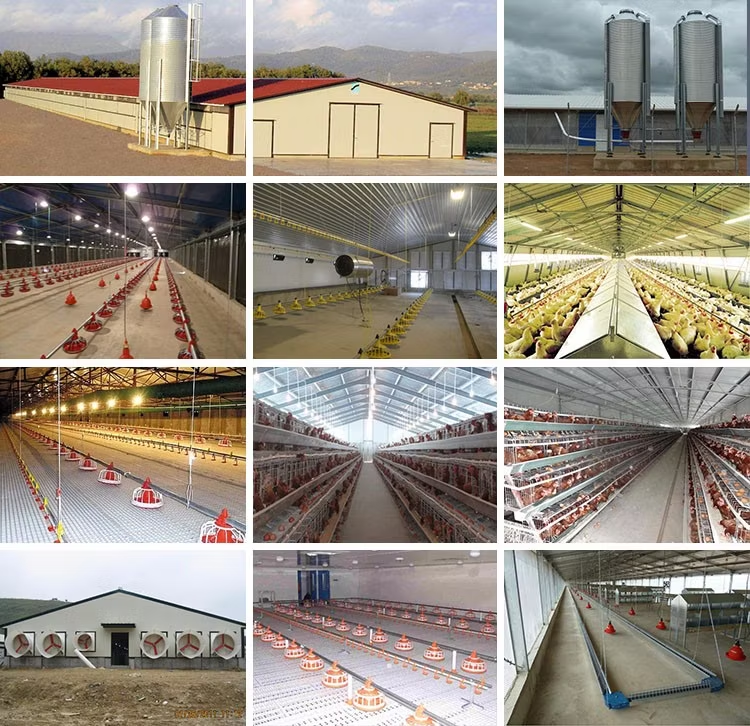 Poultry & Agricultural Buildings